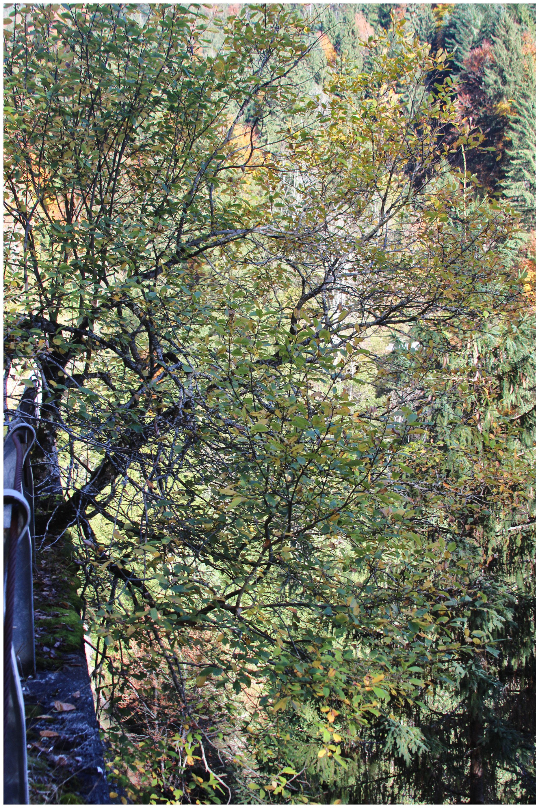 Route abandonnée 12